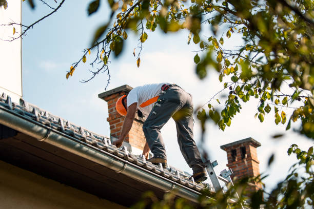 Best Gutter Installation and Roofing  in Adams, WI